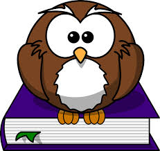 Owl on Library Book